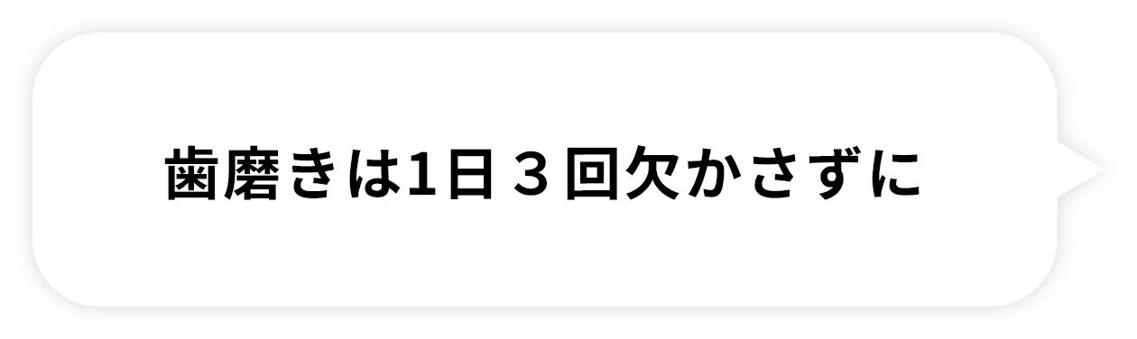 歯磨きは1日3回欠かさずに